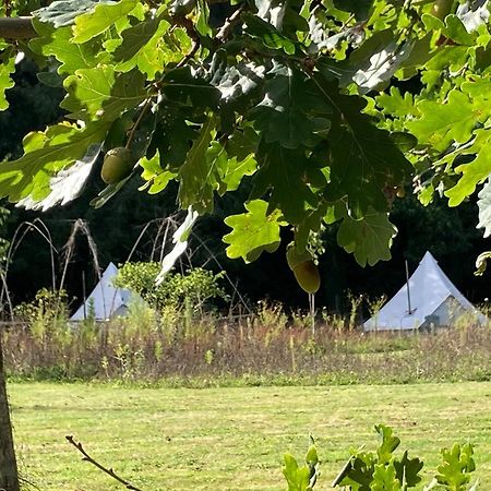 Au Pre Fleuri Eco Glamping Hotel Le Lindois Exterior foto