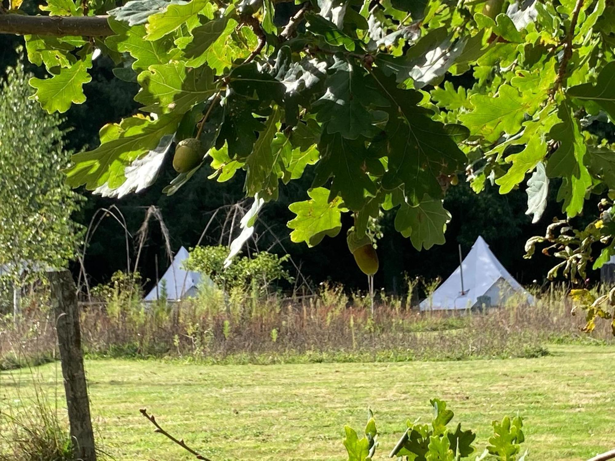 Au Pre Fleuri Eco Glamping Hotel Le Lindois Exterior foto